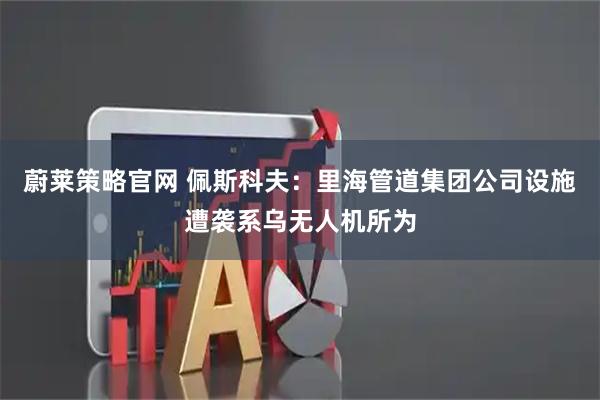 蔚莱策略官网 佩斯科夫:里海管道集团公司设施遭袭系乌无人机所为